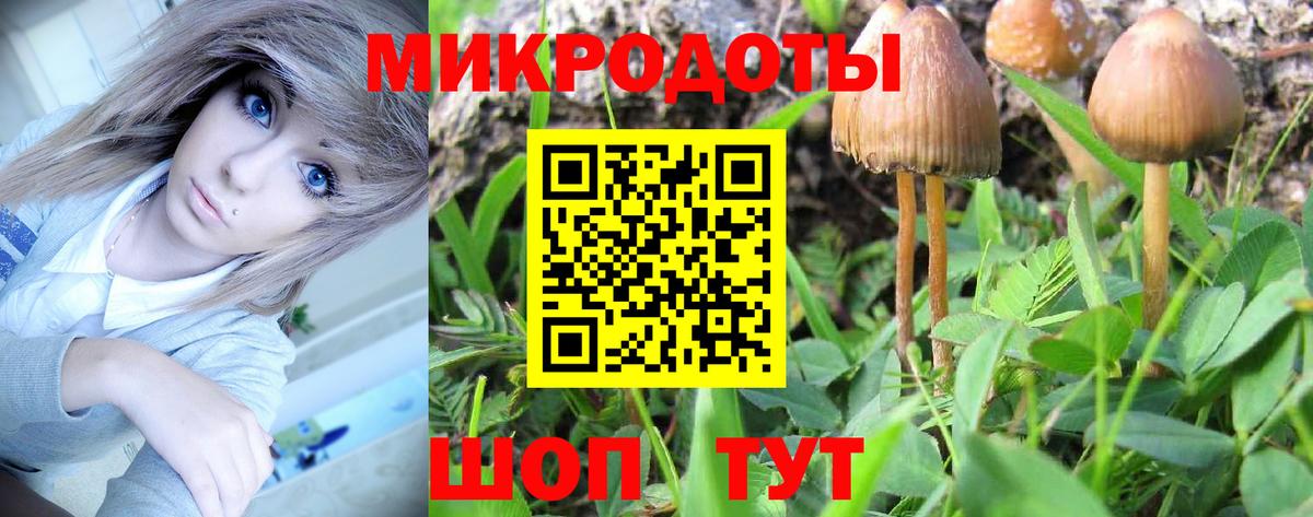 Галлюциногенные грибы Cubensis Белорецк